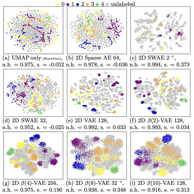Evaluation and Selection of Autoencoders for Expressive Dimensionality Reduction of Spatial Ensembles