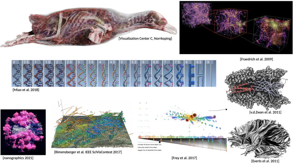 Scientific Visualization