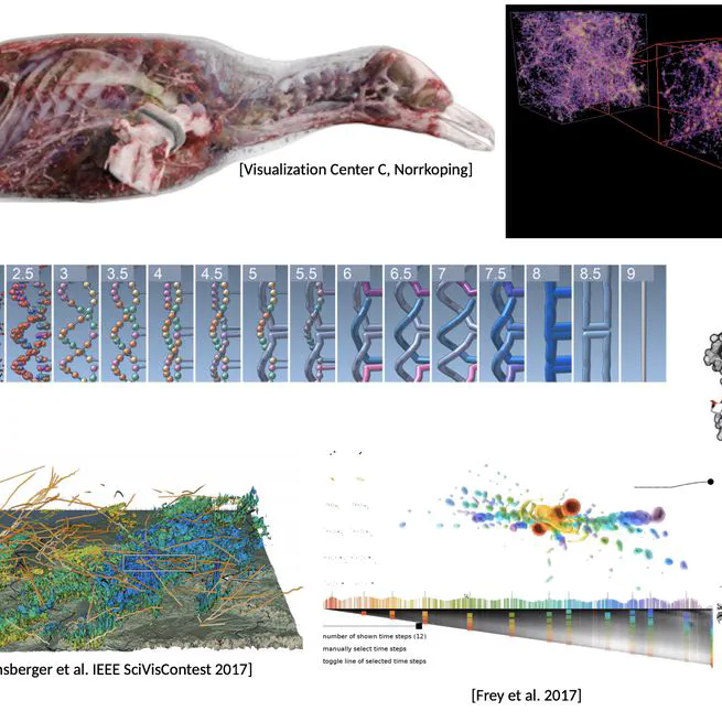 Scientific Visualization